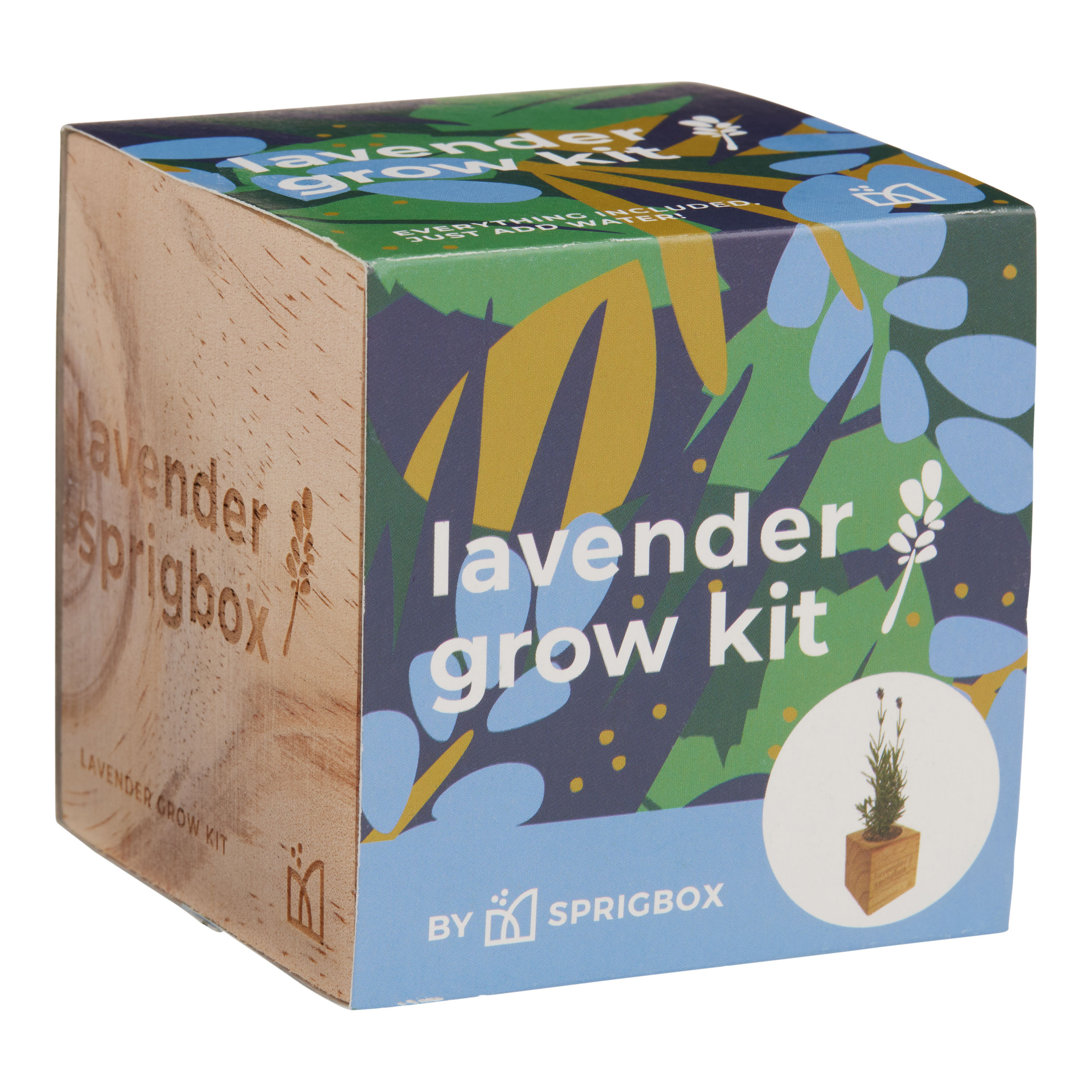 Sprigbox Lavender Grow Kit | World Market