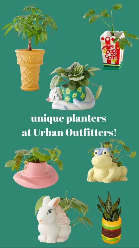 Funky planters! 🪴
unique planters, planters and pots, houseplants 

#LTKSeasonal #LTKhome #LTKsalealert