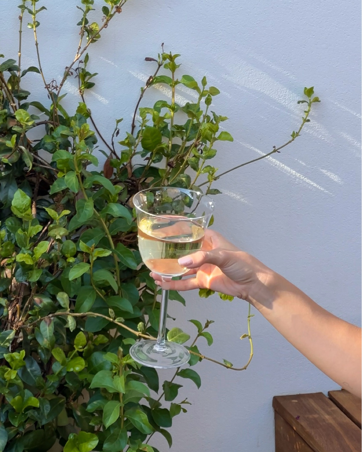 New glassware! Loving this tulip shape 🌷

#LTKParties #LTKHome #LTKWedding