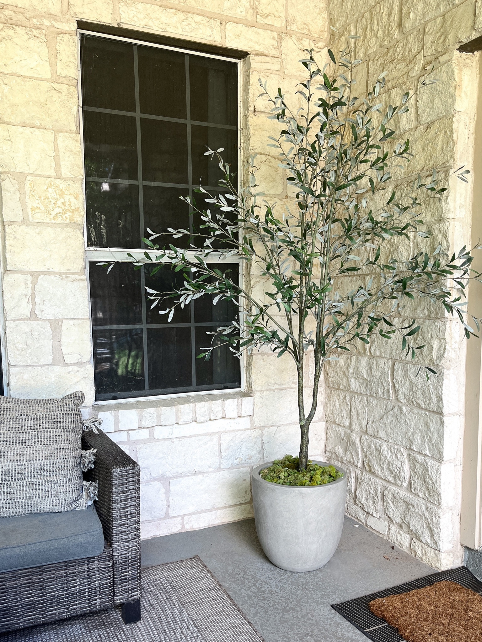 I moved my artificial olive tree from Studio McGee to our back porch and I think I love it here! 

#LTKhome #LTKSeasonal #LTKstyletip