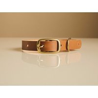 Craft Your Own Leather Pet Collar With Our Diy Kit - Made in London | Experience A Box Dog Handmade Gift For Lovers | Etsy (US)