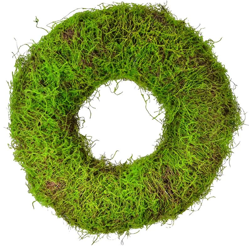 Ophelia & Co. 20" Moss Wreath & Reviews | Wayfair | Wayfair North America