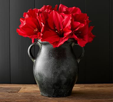 Faux Amaryllis Stem | Pottery Barn (US)