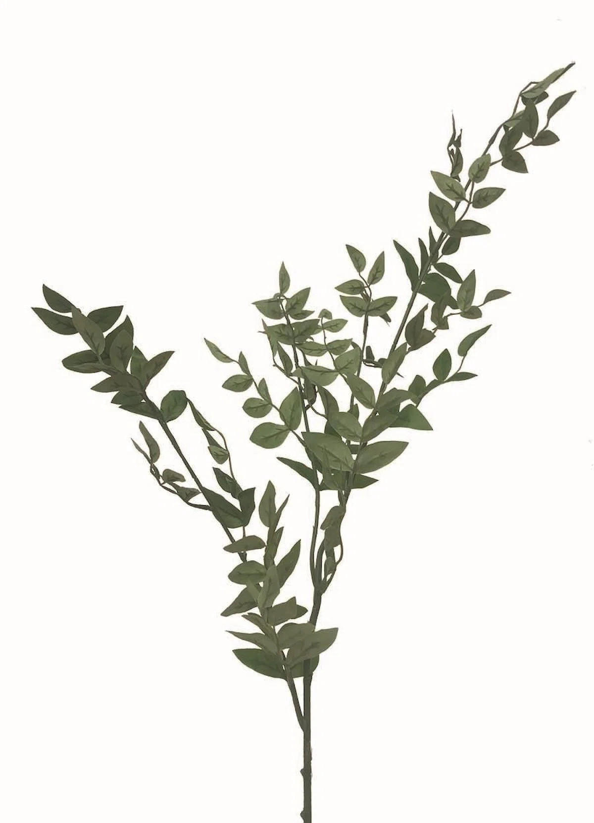 42'' Faux Smilax Branch | Wayfair North America