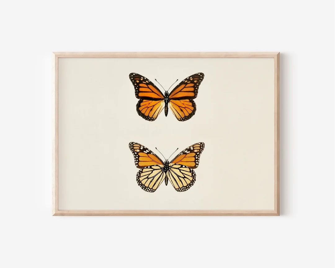 Vintage Butterfly Print | Downloadable Prints | PRINTABLES | Downloadable Prints | PRINTABLE Wall... | Etsy (US)
