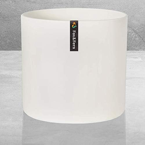 10" Plant Pot by Fox & Fern - Fits Plant Stand - Drainage Plug - Outdoor Indoor - Matte White | Amazon (US)