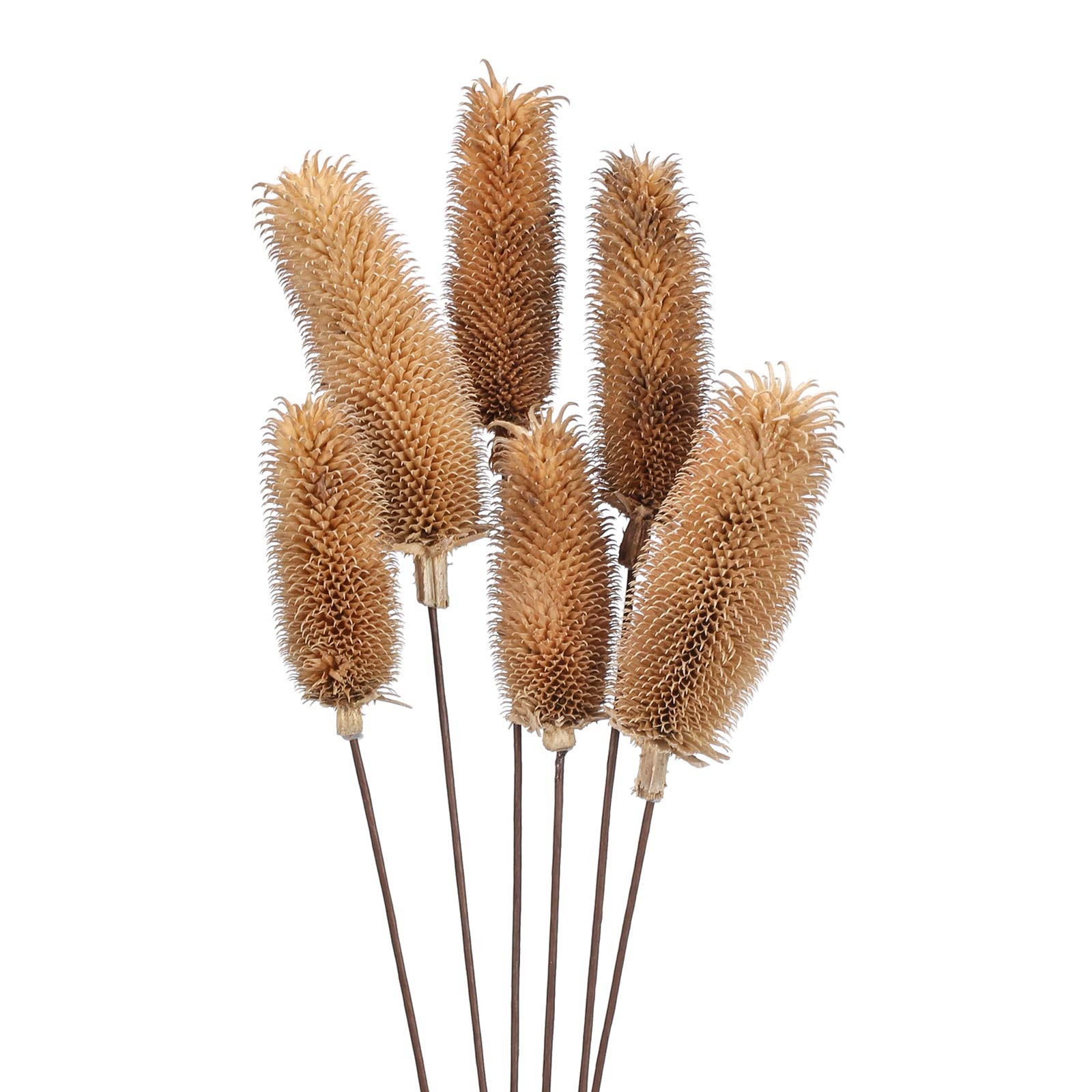 XYXCMOR 6Pcs Natural Dried Flowers Bouquet Dried Pine Cone Stems Farmhouse Artificial Floral Arrange | Amazon (US)