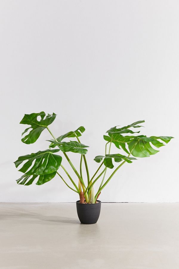 Potted Monstera 3’ Faux Plant | Urban Outfitters (US and RoW)