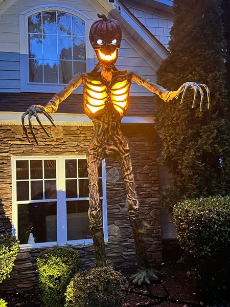Halloween 
12 foot skeleton 


#LTKHoliday #LTKHalloween #LTKSeasonal