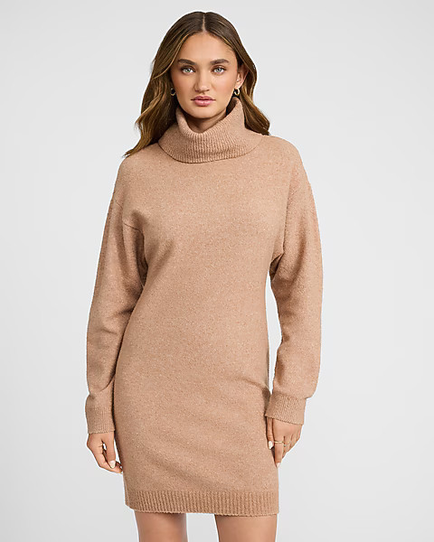 Boucle Turtleneck Long Sleeve Mini Sweater Dress | Express