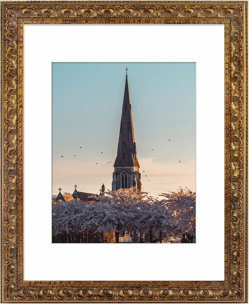 AUEAR, 11x14 Ornate Finish Photo Frame, with White Mat for 8x10 Picture & Real Glass, Color: Bron... | Amazon (US)