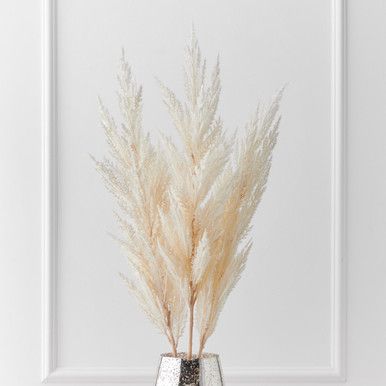 Pampas Grass - Set of 3 | Z Gallerie