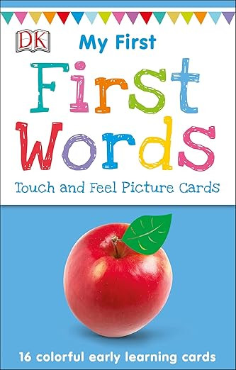 My First Touch and Feel Language Picture Cards: First Words (My First Board Books)     Cards – ... | Amazon (US)