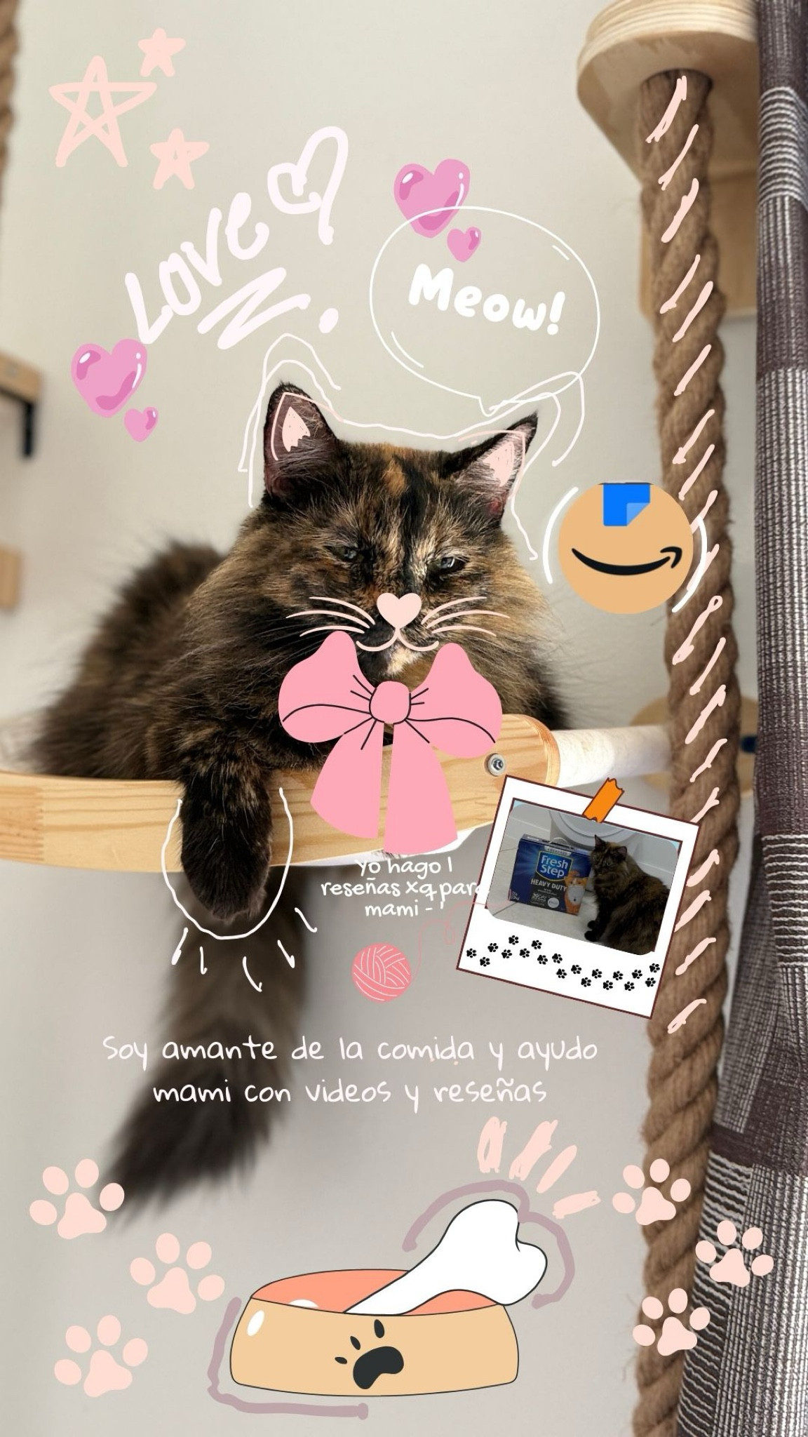 Arena y accesorios que nos hacen feliz 🐾🐈‍⬛😻😻

#LTKMostLoved #LTKPets