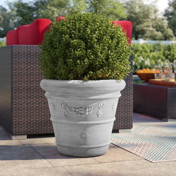 Amayia Resin Pot Planter | Wayfair North America