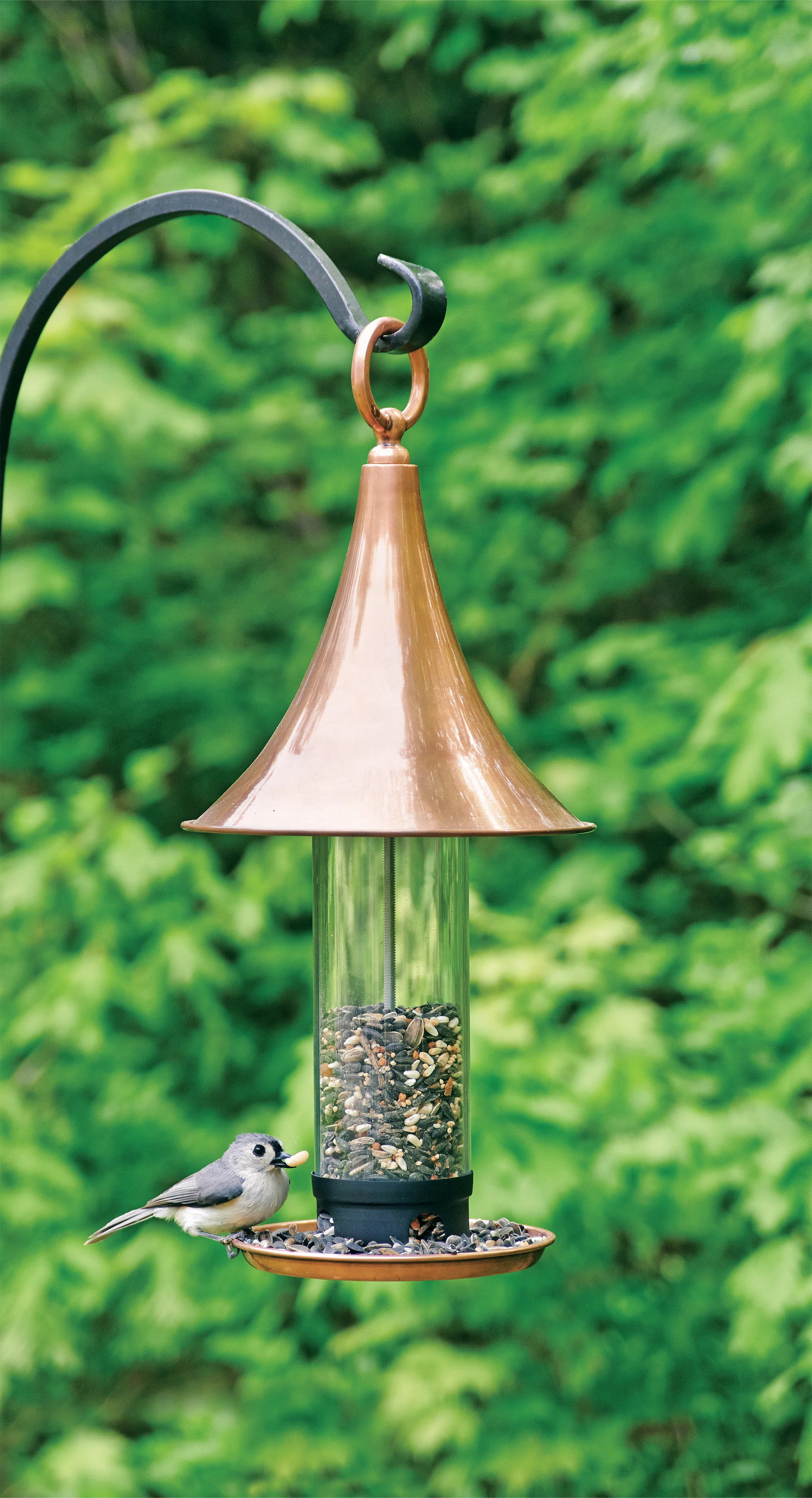 Barlina Hanging Tube Bird Feeder | Wayfair North America