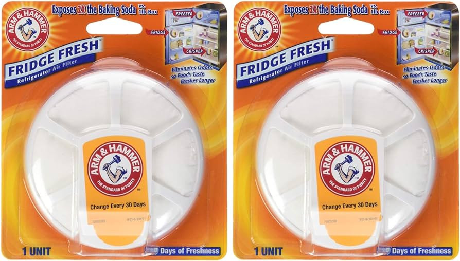 Arm & Hammer Fridge Fresh Refrigerator, 1 Count (Pack of 2) | Amazon (US)