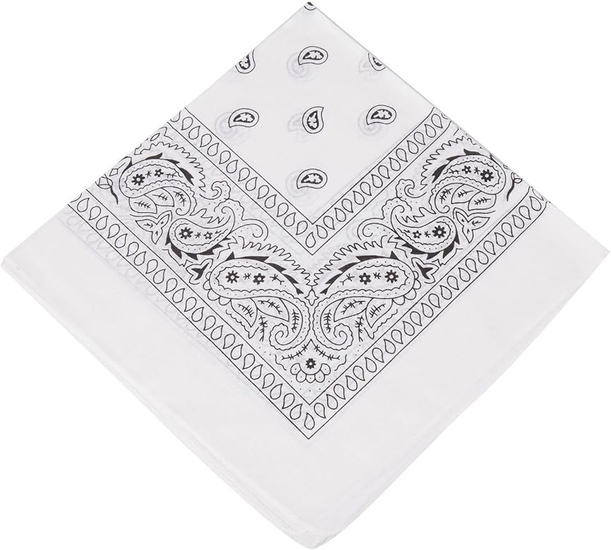 Boolavard 1s, 6s, 9s or 12 Pack Cowboy Bandanas Bandana with Original Paisley Pattern | Amazon (US)