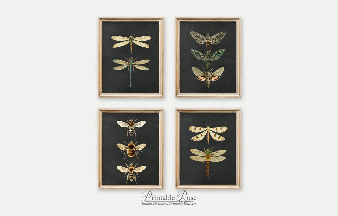 Set of 4 Prints, Wall Art, Chalkboard, Insect Art, Moth Wall Decor, Bee Printables, Dragonfly Wal... | Etsy (US)