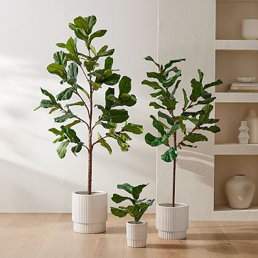 Faux Potted Fiddle Leaf Fig Trees | West Elm (US)