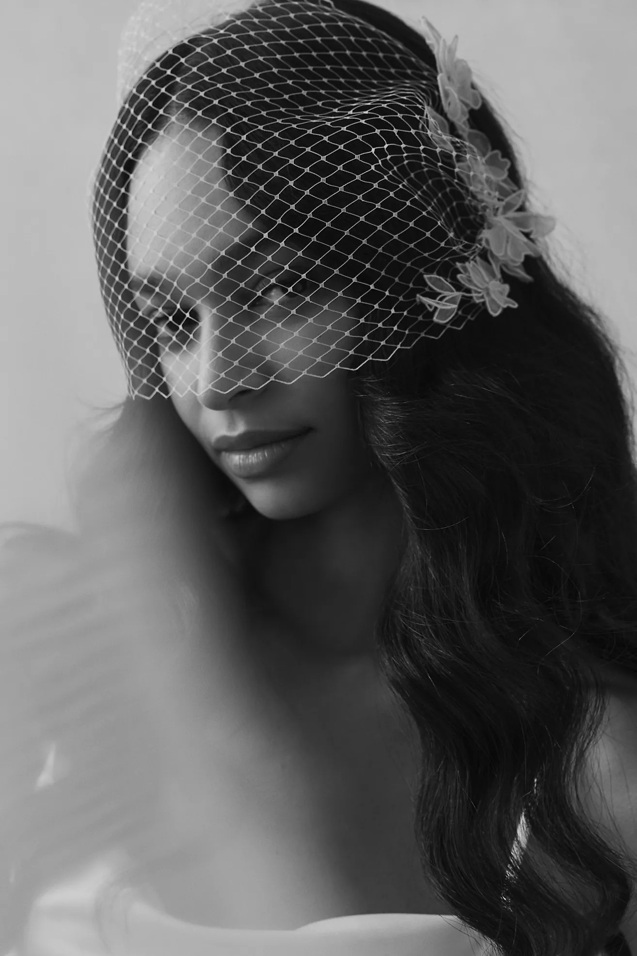 AB Ellie Cleo Birdcage Veil | Anthropologie (US)