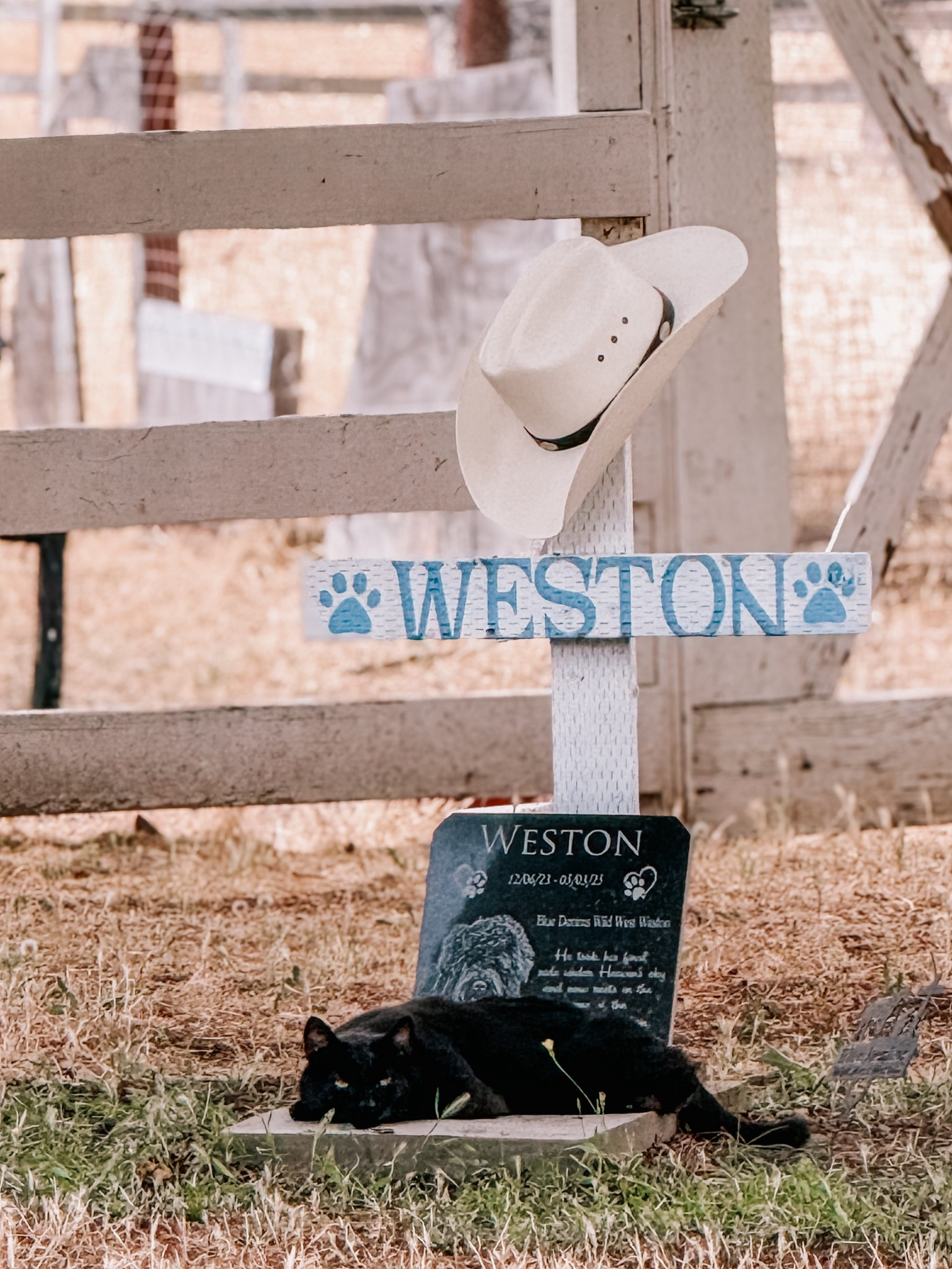 Really great quality and love that it comes with the stand 🩵