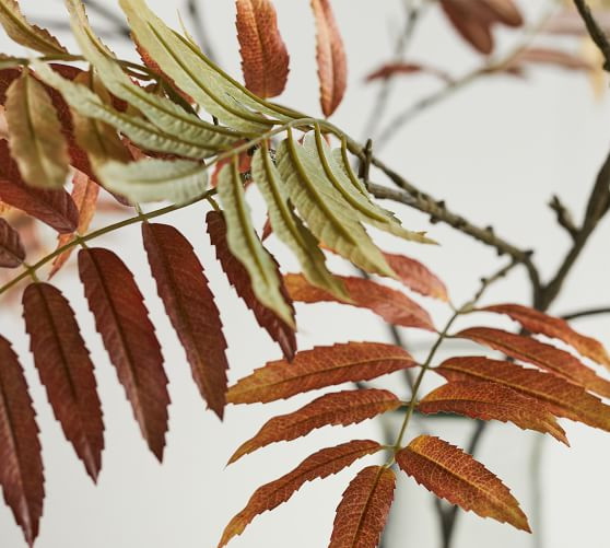 Faux Autumn Sumac Branch | Pottery Barn (US)