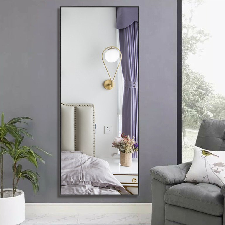 NeuType 24 in x 71 in Black Modern Full Length Mirror | Walmart (US)