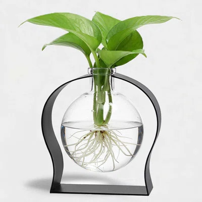 Diredra Table Vase | Wayfair North America