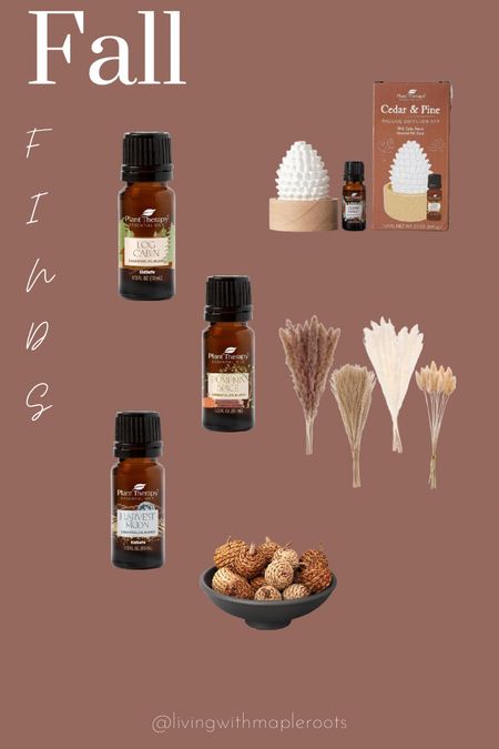 -Fall Home Decor- 

#planttherapyessentialoils #falloils #falldecor #vasefiller #fallhomescents 

#LTKSeasonal #LTKHalloween #LTKover40