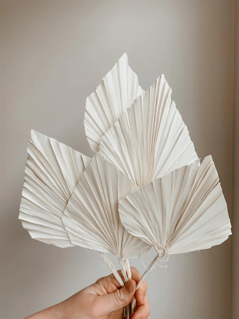 PALM SPEARS (5st)- Bleached White Palm Spears Fans, boho wedding home decor - USA | Etsy (US)