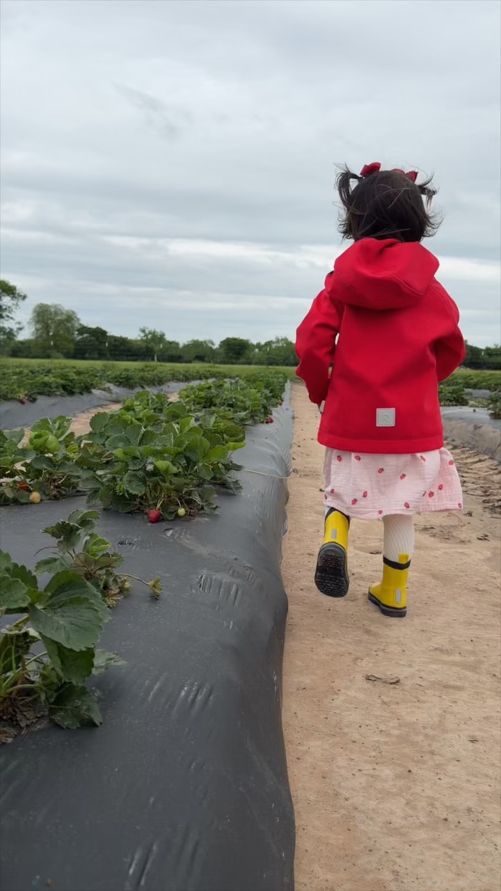 Strawberry patch farm outfit! She’s wear rain jacket, rain boots and strawberry dress. I’m wearing jeans and a trench coat with my go to leather sneakers! 

#LTKKids #LTKootd #LTKSeasonal