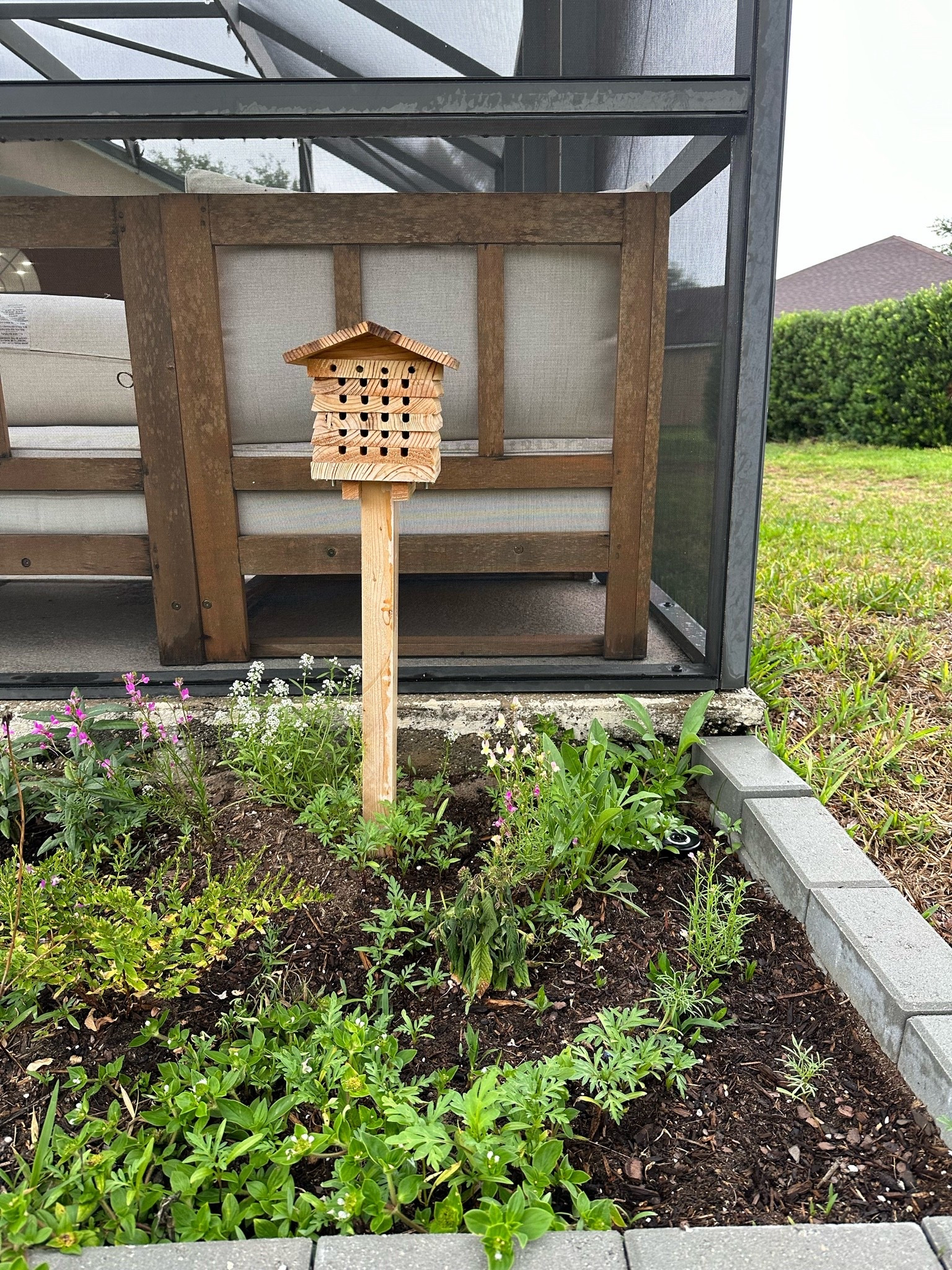 Bee home 

#LTKFindsUnder50 #LTKSeasonal #LTKFindsUnder100