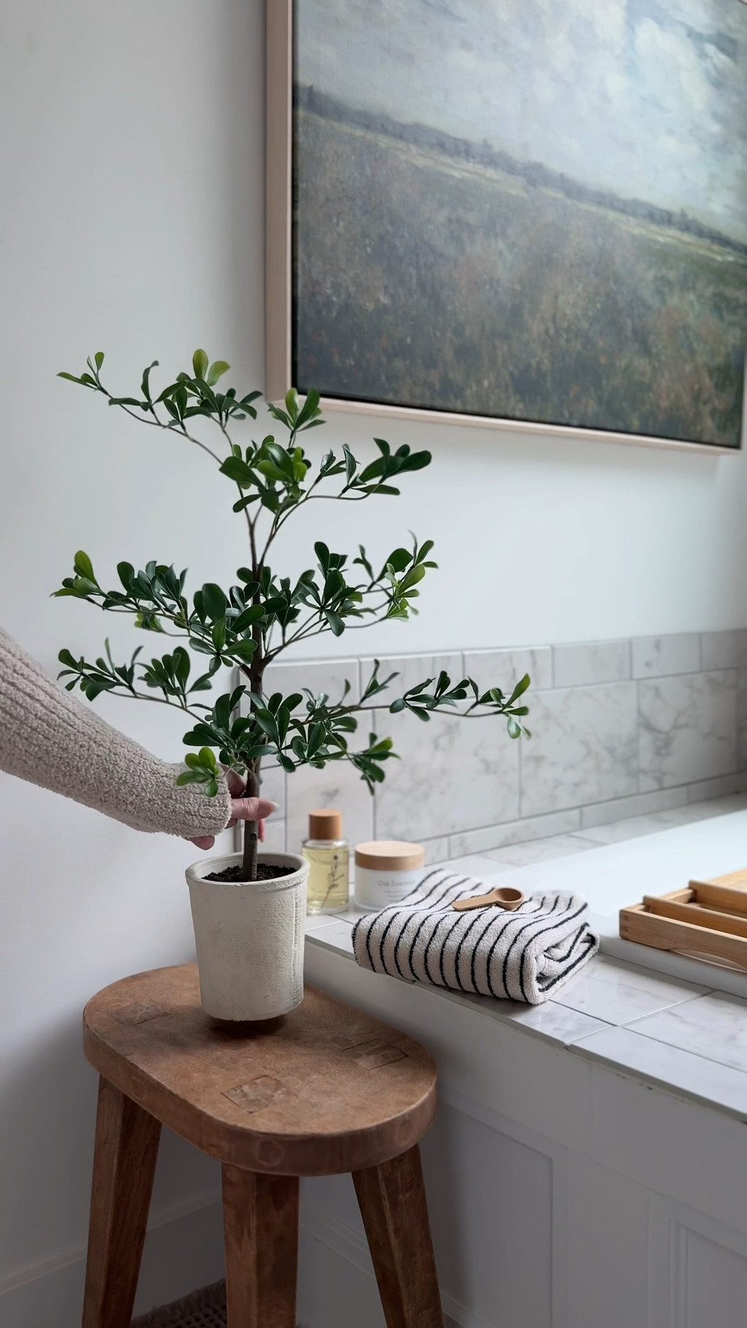 This cute mini olive tree I could not believe I found on the shelf at target! It makes our neutral bathroom feel so ready for summer! 🪴

#LTKSeasonal #LTKHome