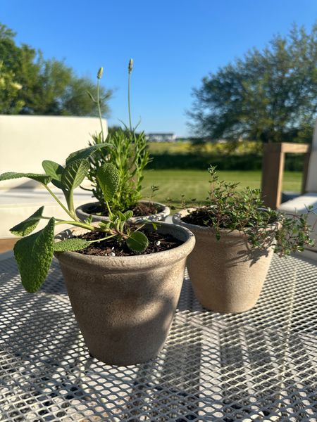So ready for summer weather!  I’m loving these pots from BGH Walmart! 
#pots 
#plants #outdoors #backpatio #planter #walmart #bhg

#LTKHome #LTKSeasonal