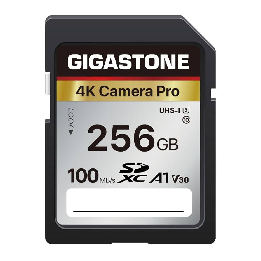 [5-Yrs Free Data Recovery] GIGASTONE 256GB SD Card, 4K Camera Pro, A1 V30 SDXC Memory Card 4K UHD... | Amazon (US)