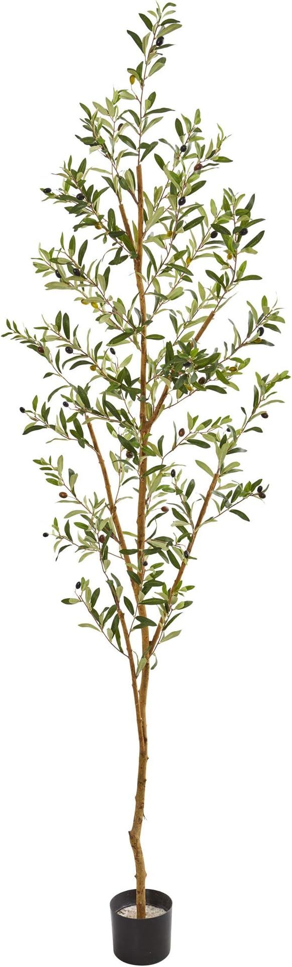 Amazon.com: Nearly Natural 82” Olive Artificial Silk Trees Green : Home & Kitchen | Amazon (US)