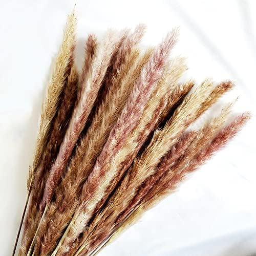 Natural Dried Pampas Grass Bonquet 30 Pcs, Boho Home Decor Bouquet, Dried Flowers for Wedding Flo... | Amazon (US)
