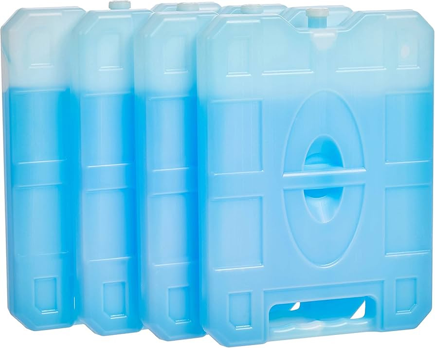 Amazon Basics Reusable Hard Sided Rectangular Ice Pack, Pack of 4, Large, Blue, 10.4" X 7.9" X 1.... | Amazon (US)