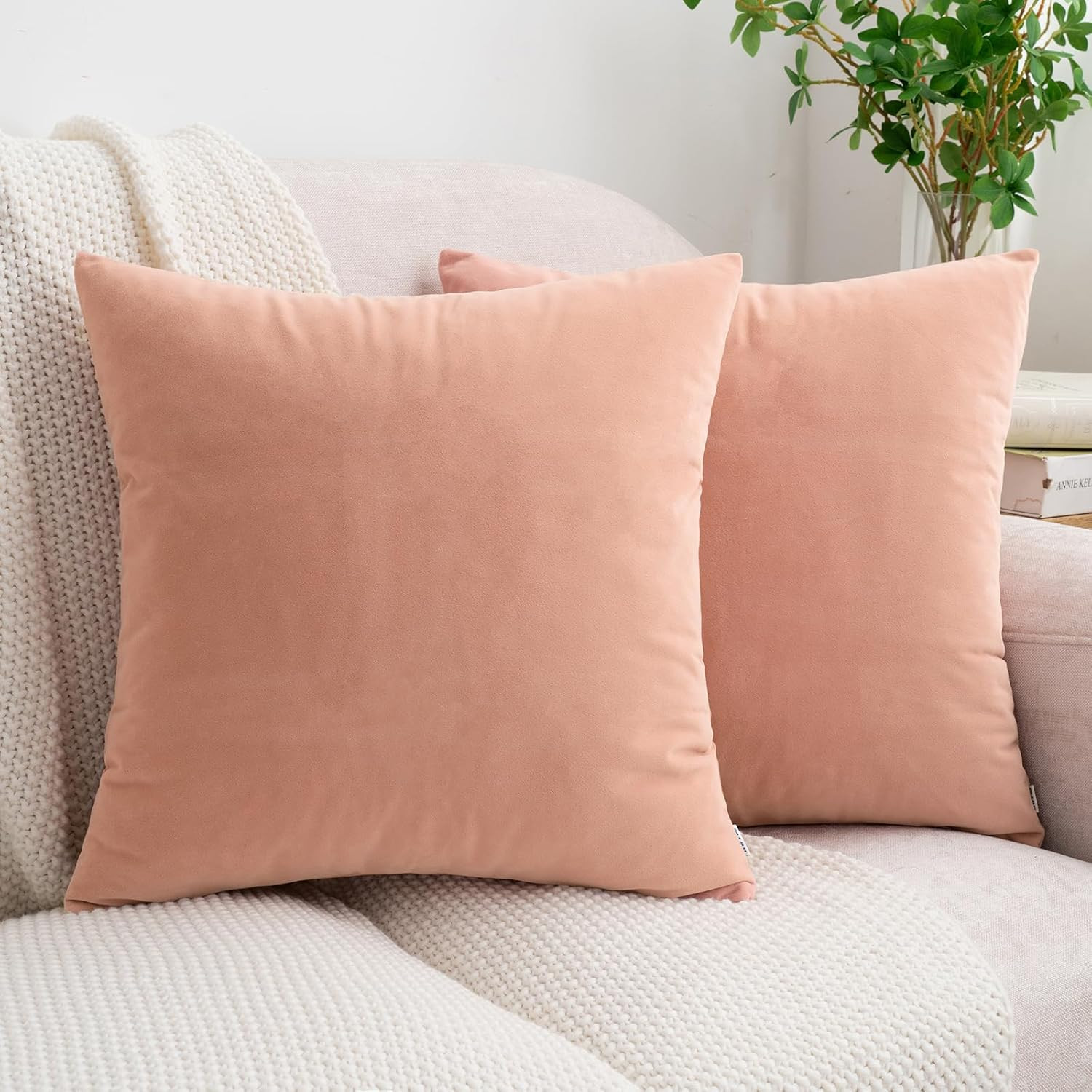 HWY 50 Dusty Pink Velvet Throw Pillow Covers 20x20 Inch, Pack of 2 Soft Cozy Solid Decorative Lux... | Amazon (US)