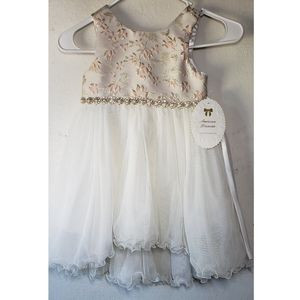American princess girls rose gold dress | Poshmark