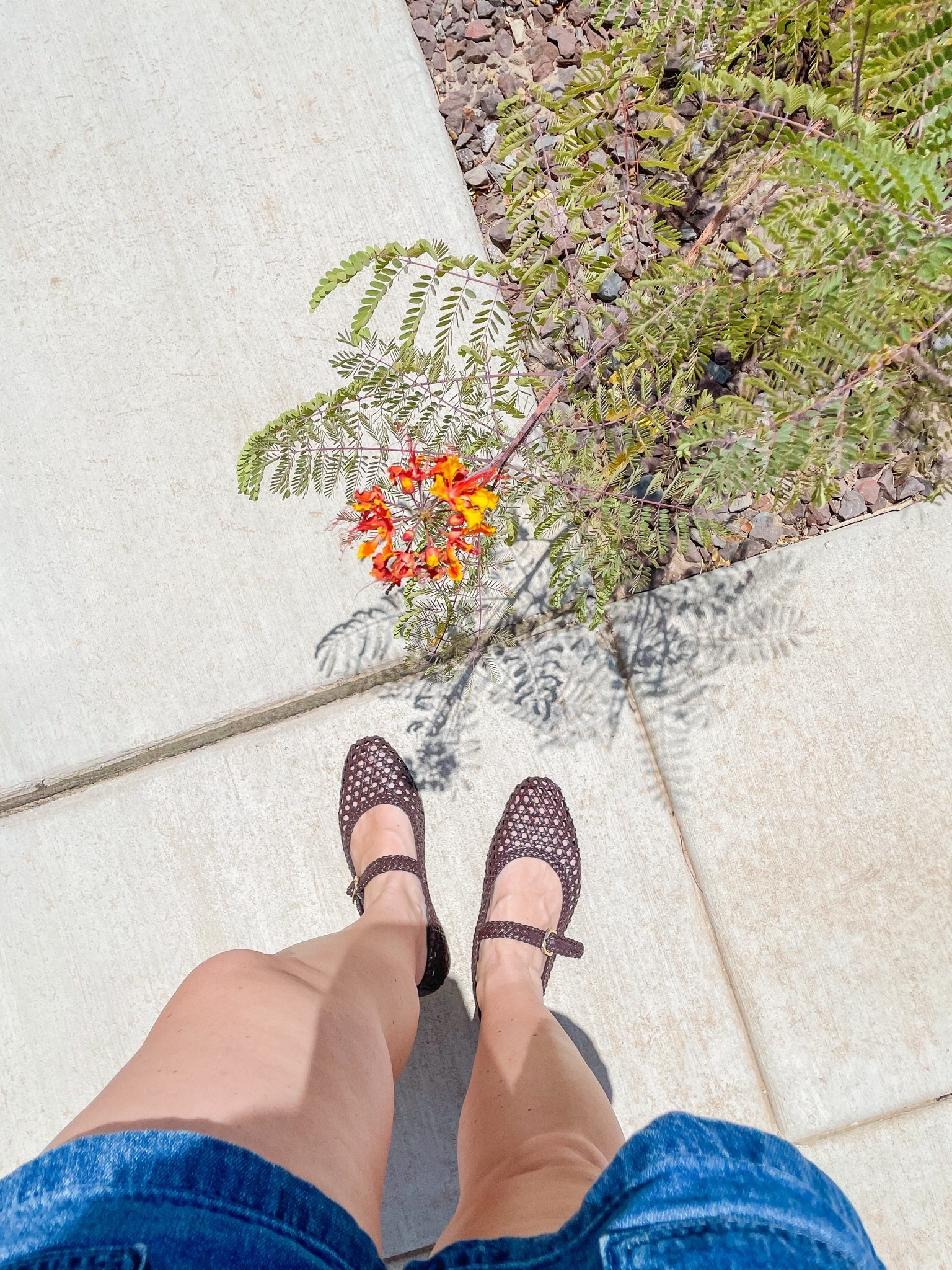 These woven Mary Jane flats from Target are so comfortable! Didn’t give me any blisters or discomfort right from the start. Runs true to size. 

Target, find, affordable, women’s, shoes, flats, casual, everyday, woven, summer, Mary Jane, brown, black, neutral.

#LTKootd #LTKWorkwear #LTKmomlife