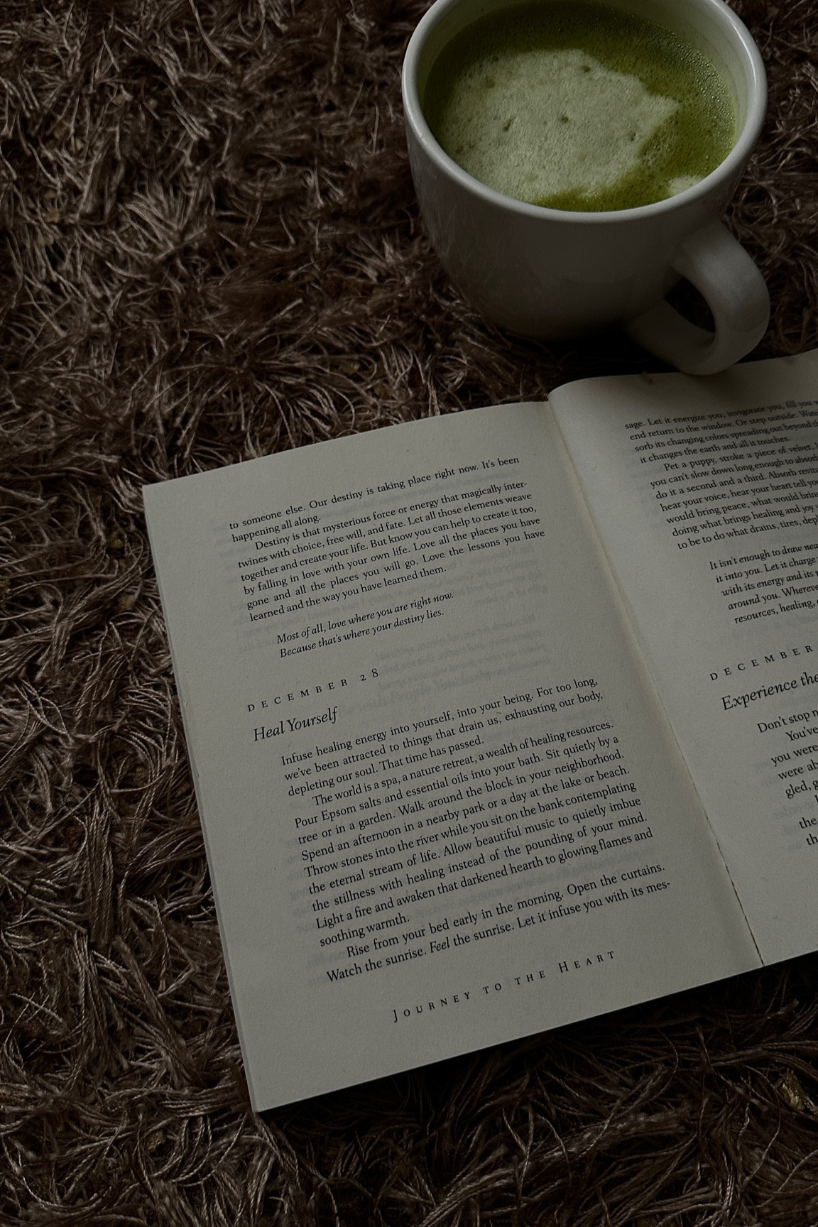 Slow mornings 🍵📝✨ #morningbooks #books

#LTKhome