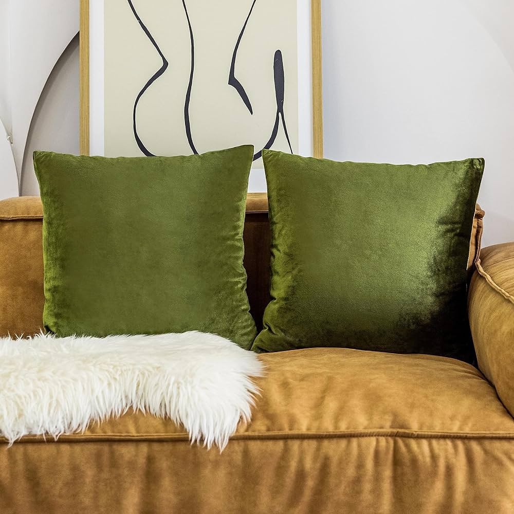 Home Brilliant Velvet Euro Shams Pillow Covers 24x24 Pillow Cases for Patio Holiday Throw Pillow ... | Amazon (US)