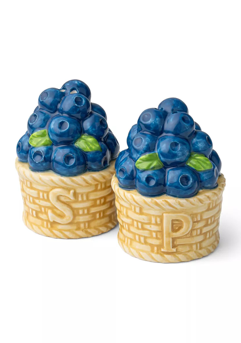 Blueberry Salt and Pepper Shakers Set | Belk