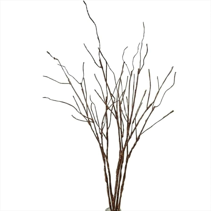 Lifelike Curly Willow Branches,30Inches Faux Tree Branches Decorative Dried Twigs for Vases Tall,... | Amazon (CA)