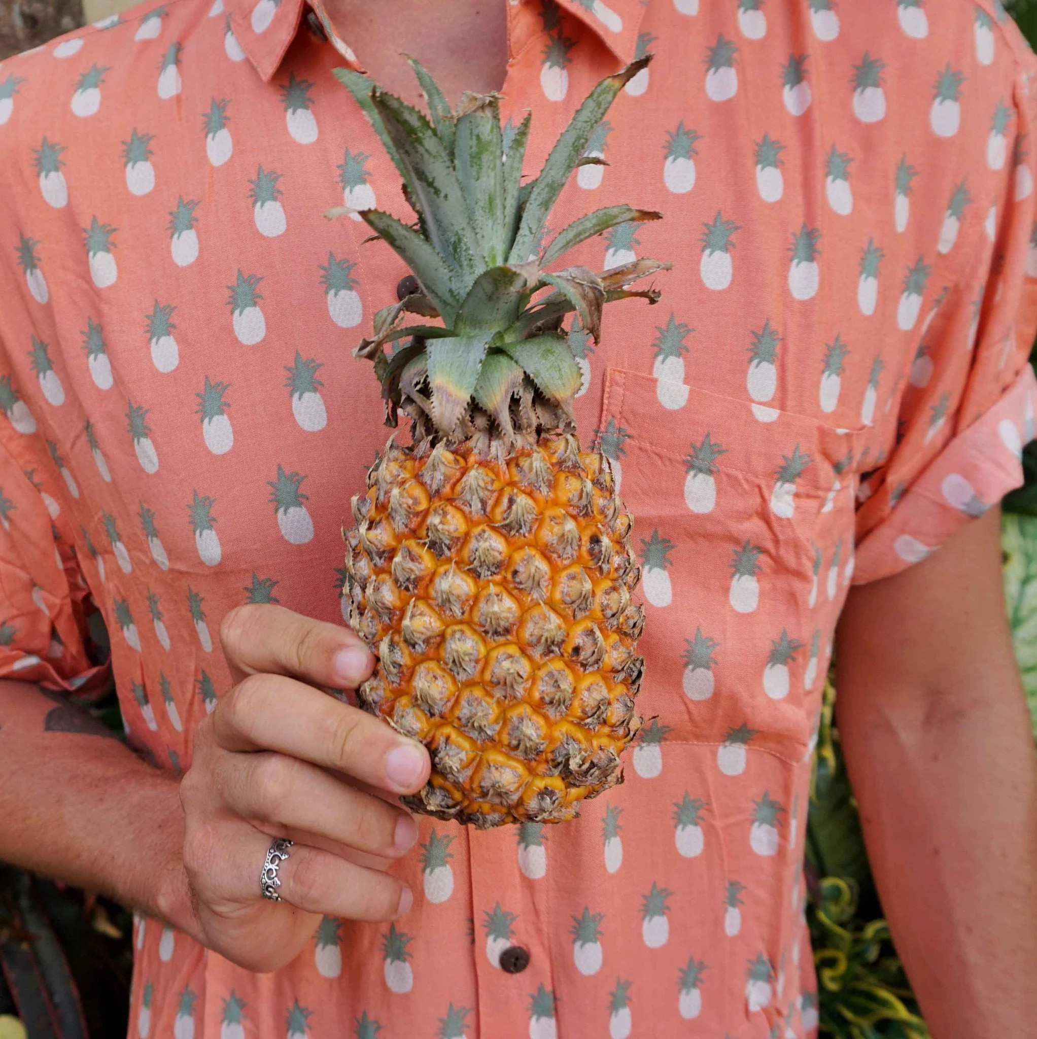 The Piña Coralada | Kenny Flowers