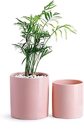 POTEY Ceramic Planter Flower Plant Pot - 4.9”+6.1” with Drain Hole Full Depth Cylinder - Mini... | Amazon (US)