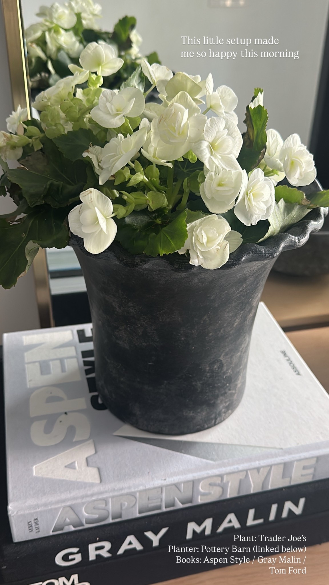 This little setup made me pause this morning—soft white florals in a weathered black planter, stacked on the design books that inspire me most.

Pottery Barn planter (linked), Trader Joe’s flowers, styled on Gray Malin + Tom Ford + Aspen Style.

The kind of simple moment that makes a home feel thoughtful.

Shop the exact pieces + similar finds below.

#LTKHome #LTKFindsUnder100 #LTKStyleTip #LTKSpringStyle
#LTKHomeDecor #LTKHomeStyling #LTKUnder50 

#LTKStyleTip #LTKFindsUnder100 #LTKHome
