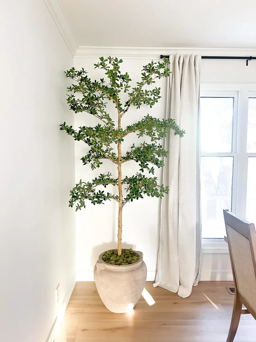 Faux Black Olive, Shady Lady Tree 7’ Tall - Etsy | Etsy (US)